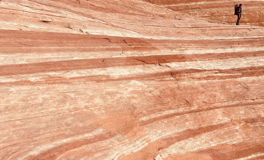 The Wave Arizona Sandstone Swirls and Stripes